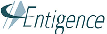 Entigence - Array Entigence